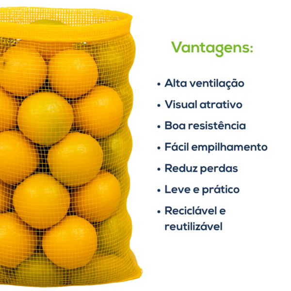 Kit Com 500 Un Saco Giro Inglês 50 Kg FT Amarelo - Image 3