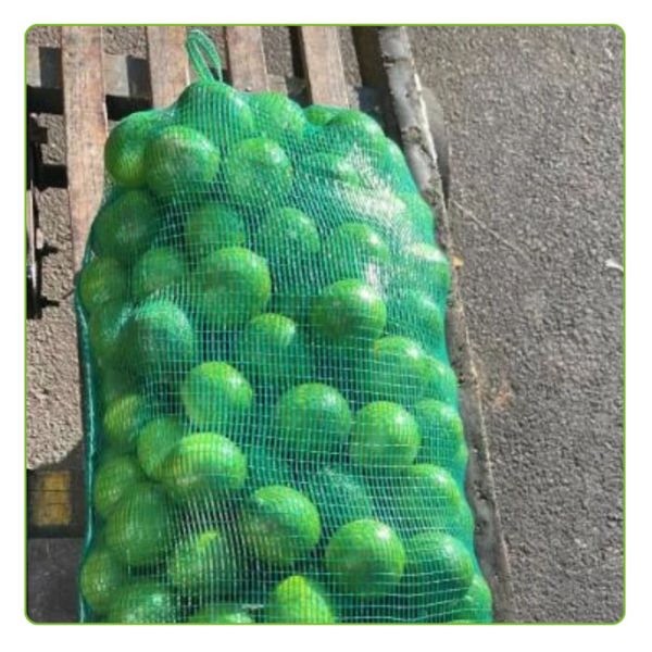 Kit Com 500 Un Saco Giro Inglês 80x50 CIR Verde - Imagem 4