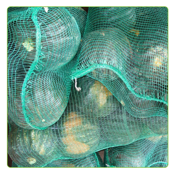 Kit Com 500 Un Saco Giro Inglês 80x50 CIR Verde - Imagem 5
