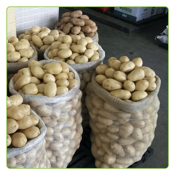 Kit Com 500 Un Saco Clone P/ Batata 25 Kg B Bege - Imagem 5