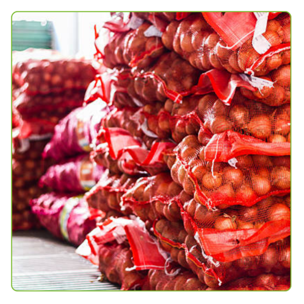Kit Com 500 Un Saco Giro Inglês Cebola S/ Faixa A Tradicional Vermelho - Imagem 6