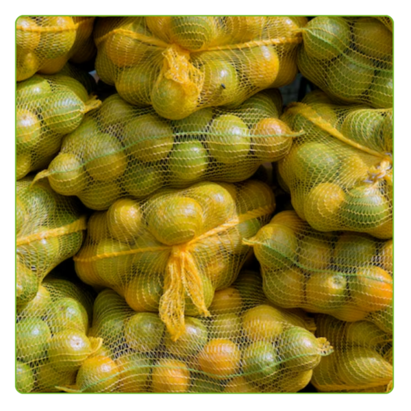 Kit Com 500 Un Saco Giro Inglês 50 Kg FT Amarelo - Image 6